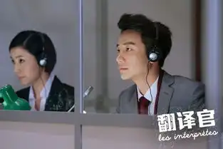 翻译官曝酷黑海报杨幂黄轩逐译者之争
