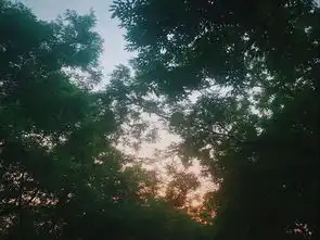 27岁,我的存款只有三位数
