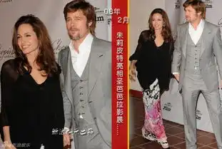 皮特朱莉10年修正果法国完婚手机新浪网
