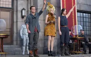 青年律师的机会,为什么越来越少