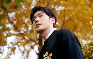 盘点娱乐圈的拼命三郎吴磊从小演到大,罗云熙带伤拍戏太敬业
