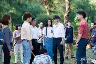 那片星空那片海将收官冯绍峰惨遭家族背叛
