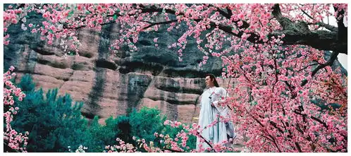 射雕英雄传再出两部新电影,严屹宽何昶希关礼杰杜德伟等加盟
