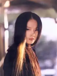 射雕英雄传2003年内地版李亚鹏主演电视剧
