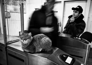 展示莫斯科地铁日常精髓与灵魂的13张经典照片
