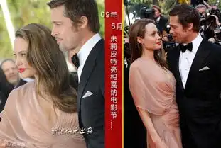 皮特朱莉10年修正果法国完婚手机新浪网
