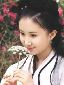龙珠传奇舒畅是反派吗演技好的舒畅为什么不火
