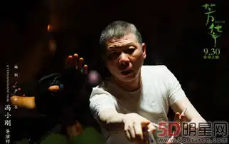 芳华撤档风波华谊声明否认炒作

