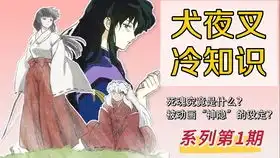 一口气看完犬夜叉tv版所有剧情主线故事梳理庆祝夜叉姬开播