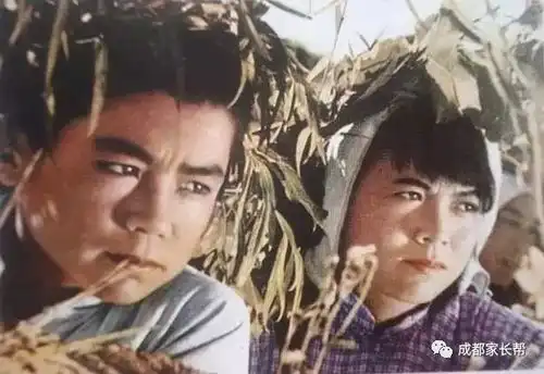 论推荐电影我们是认真的,25部精选电影让假期不虚度附分年龄段观影指南