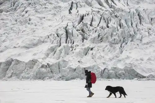 骗局造假演戏,徒步西藏的主播们,用生命追逐流量
