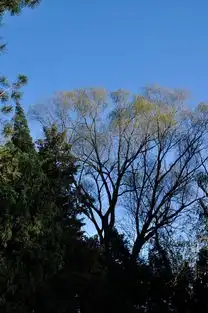 摄影者的摇篮颐和园