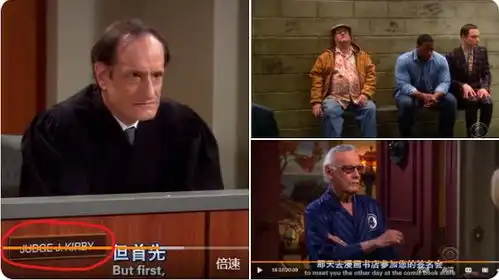 生活大爆炸第三季1223集
