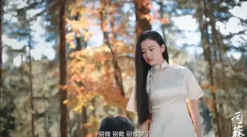 景甜拍摄司藤时,有些地方海拔高达4000米张彬彬旗袍网易订阅