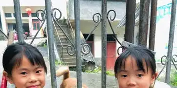 留守小姐妹和忠犬八公