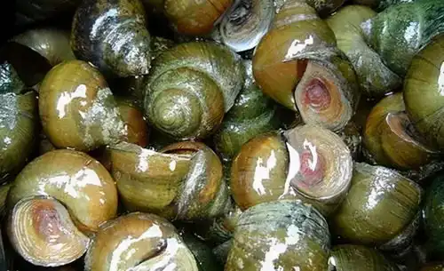 饭店最脏的3道菜,再好吃也要管住嘴,现在知道还不晚