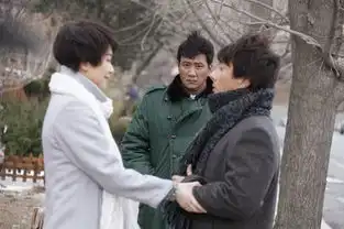 谁偷走了记忆里的胡军于无声处成憋屈特工
