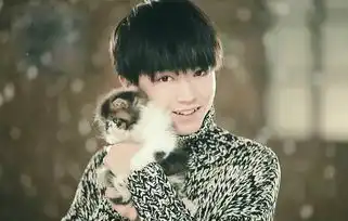 tfboys修炼手册,易烊千玺厉害了