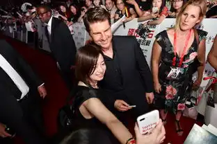 碟中谍6全面瓦解中国首映男神齐聚太庙