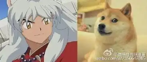 什么,犬夜叉的原型竟然是柴犬
