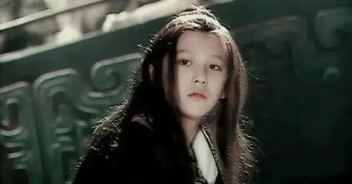 秦始皇汉朝到明清,为什么评价越来越高,趋于正面学者劝君少骂秦始皇
