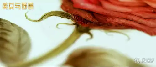 美女与野兽曝剧照蕾雅赛杜情定文森卡索
