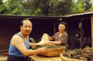 乡村爱情交响曲剧照
