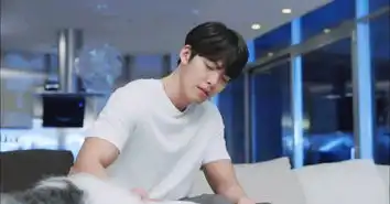 任意依恋金宇彬裴秀智
