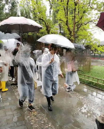 白百何即将回归,录制综艺状态不错,搭档郑爽我在颐和园等你
