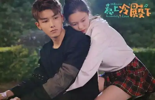 网剧惹上冷殿下评价如何
