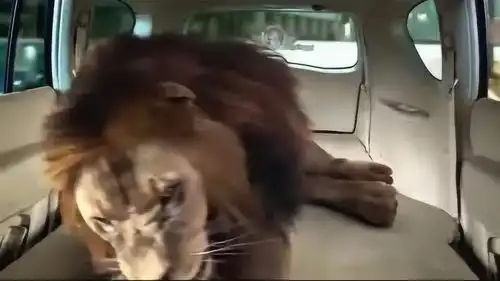 功夫瑜伽小伙在高速行驶中的车上,竟来回的跳车抢宝石