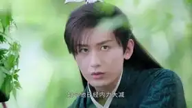 青岛大姨一出场我就不自觉的开始笑了这一对cp真是爱了宸汐缘
