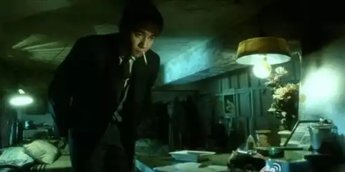 杂谈睡在风中的无脚鸟
