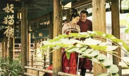 妖猫传的票房为什么这么低
