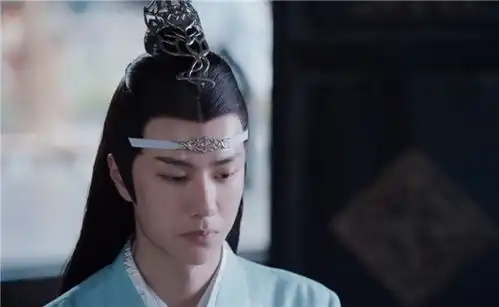 陈情令江厌离不知道的是,蓝忘机曾经对她很担心