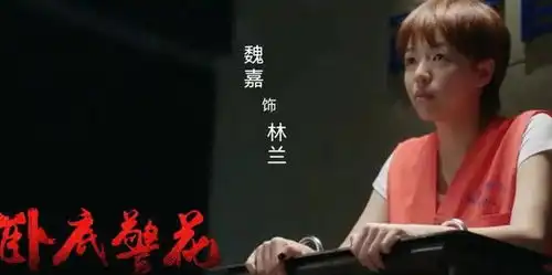 家有儿女官方下场发视频内涵高亚麟出轨,杨紫张一山受波及
