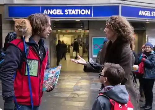 温馨治愈流浪猫鲍勃11月2日卖萌来袭