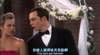 生活大爆炸第八季谢耳朵回归生活大爆炸搞笑字幕回顾
