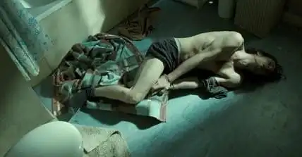 流浪猫鲍勃爱是人类最美好的语言