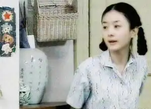 赵丽颖收获荣誉侯鸿亮的评价亮了
