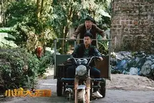 小镇大法官大概说了什么小镇大法官好看吗第2页