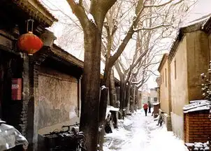 赏故宫颐和园那些如诗般的雪景

