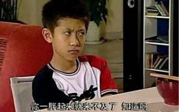 从家有儿女中走出来的明星,除了夏家三姐弟你还记得多少