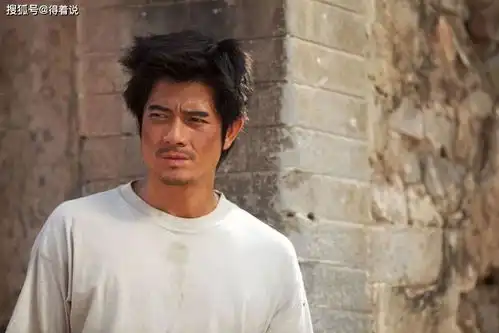 一说农民形象别总提乡村爱情,王宝强和郭富城都演过农民
