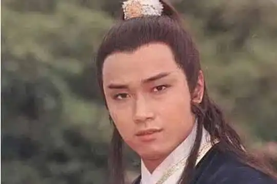 射雕英雄传中杨铁心的父亲杨再兴,是杨家将哪位英雄的后代