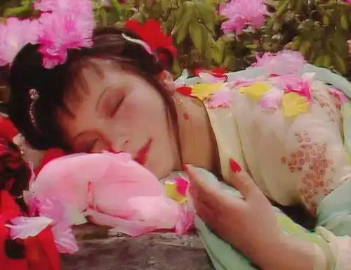 只恐夜深花睡去,故烧高烛照红妆一抹胭脂泪,半盏海棠魂
