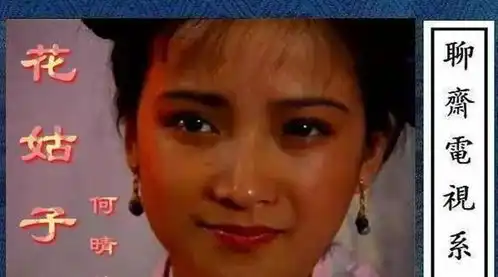 何晴曾演遍四大名著,感情一波三折,因身体原因久未露面
