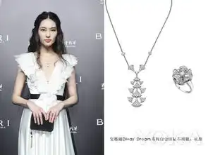 群星齐聚宝格丽上海恒隆广场旗舰店重装开幕活动