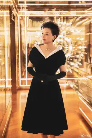 51岁杨澜不得了,穿黑天鹅裙典雅气质,网友最美中国澜