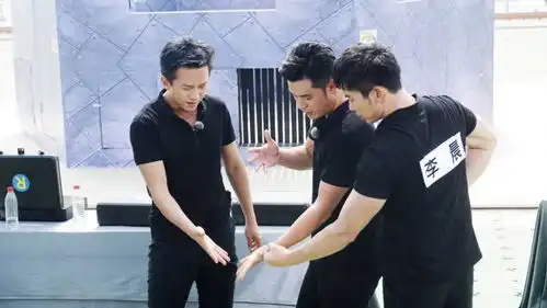 高以翔因综艺节目猝死,网友扒出,参加浙江卫视综艺节目中受伤的那些嘉宾